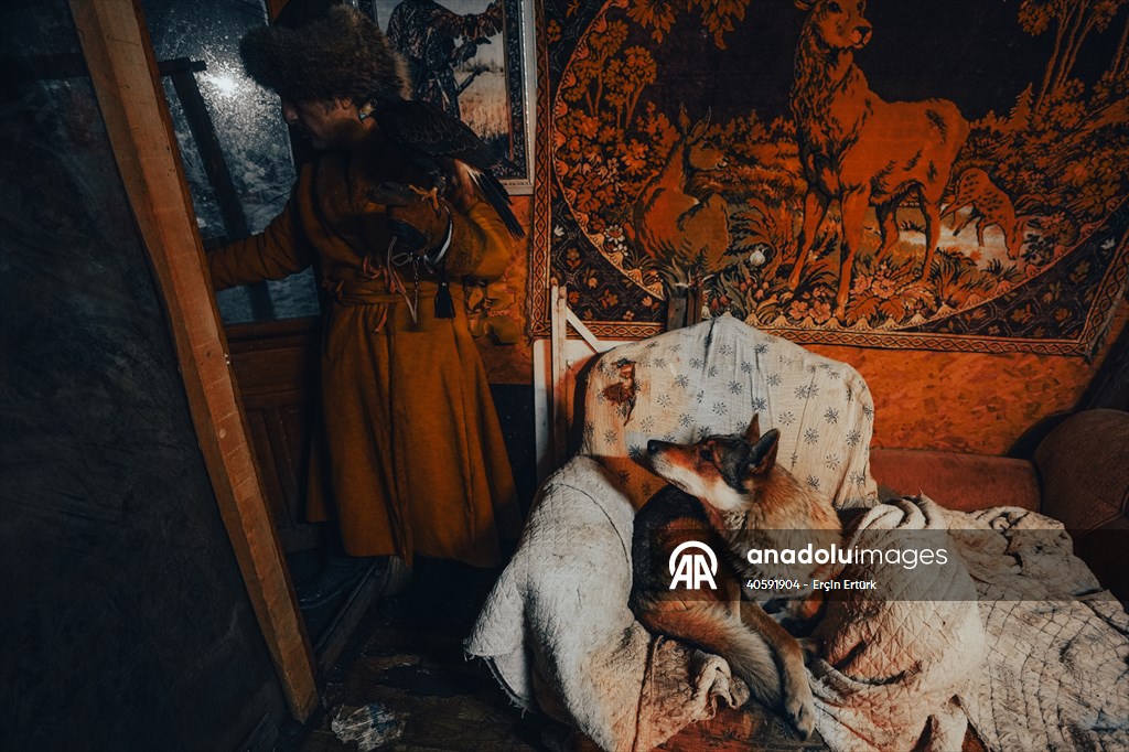 Sivas'ın bozkırında hayatını adadığı kurt köpekleri ve yırtıcı kuşlarıyla yaşıyor