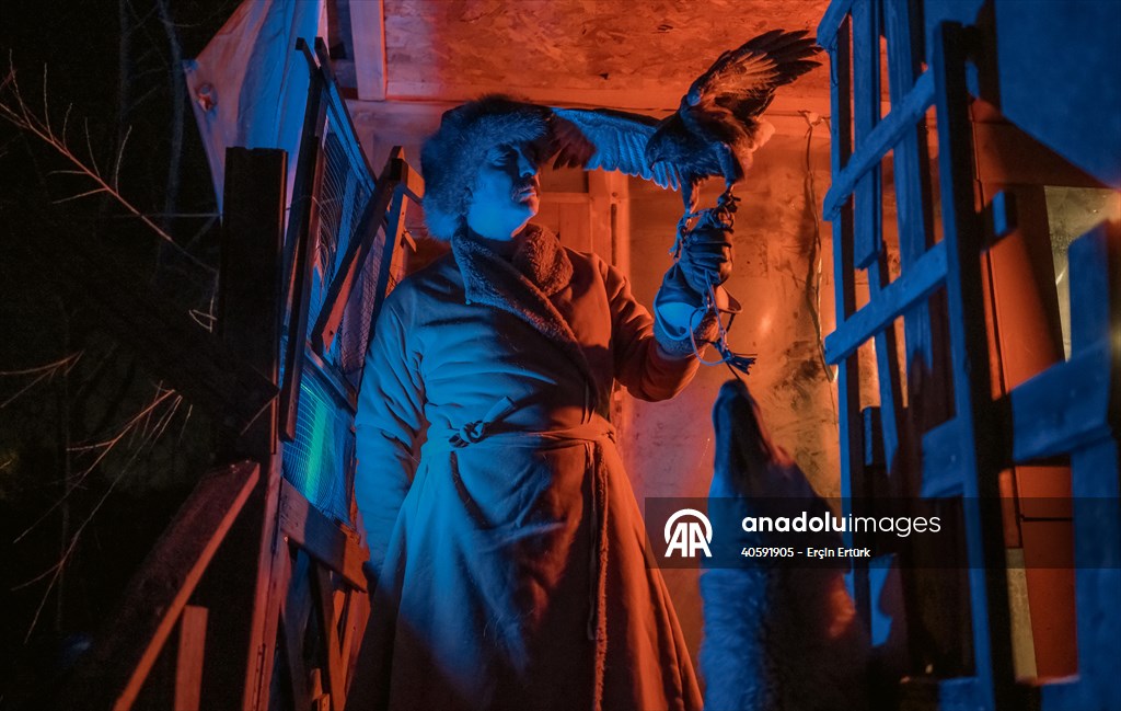 Sivas'ın bozkırında hayatını adadığı kurt köpekleri ve yırtıcı kuşlarıyla yaşıyor