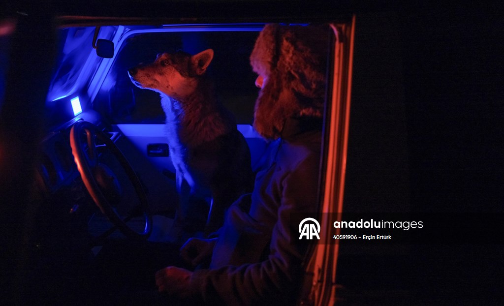 Sivas'ın bozkırında hayatını adadığı kurt köpekleri ve yırtıcı kuşlarıyla yaşıyor