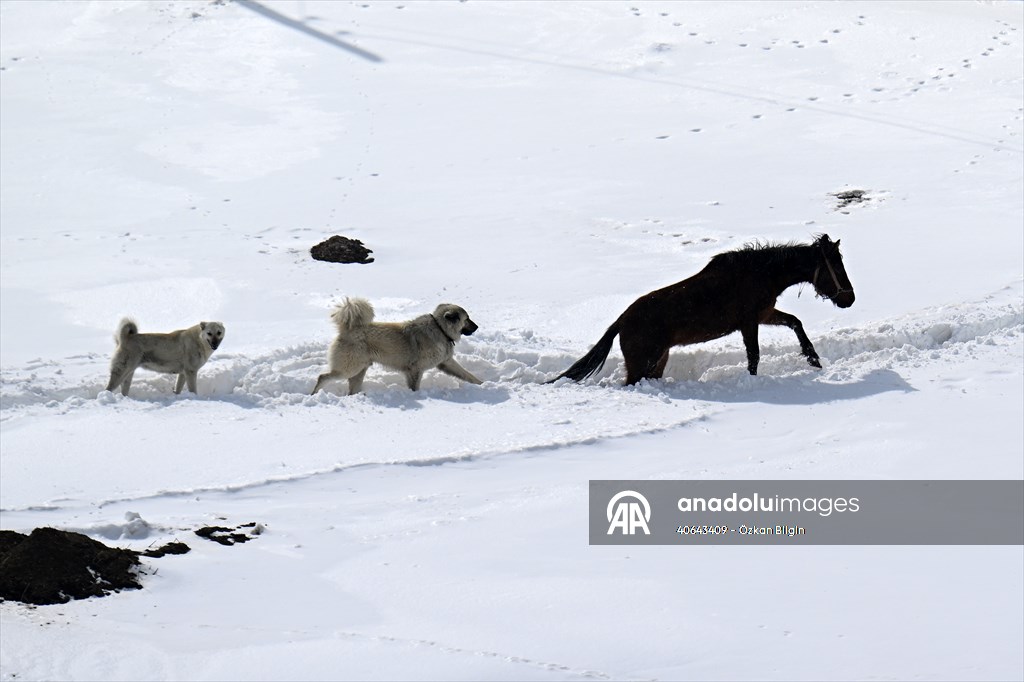 'Kar koridoru'ndan geçerek ilçeye ulaşıyorlar
