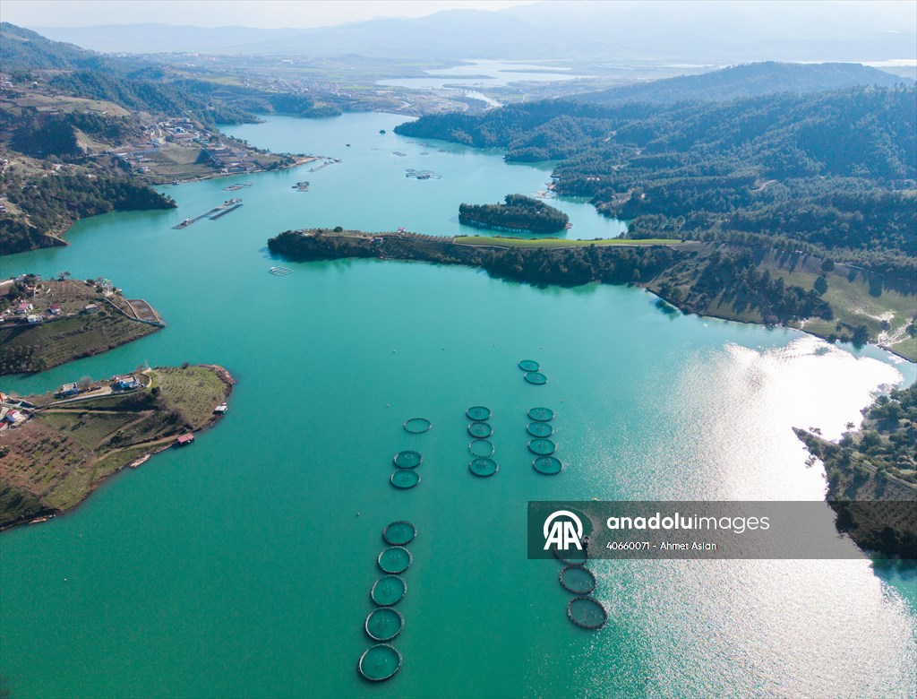 Kahramanmaraş’ta barajlarda üretilen somon ve alabalık ihraç ediliyor
