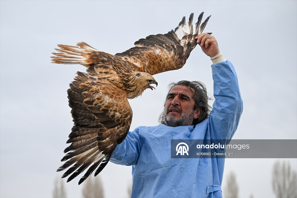 Wildlife Protection and Rehabilitation Center in Turkiye's Van treat wounded wild animals
