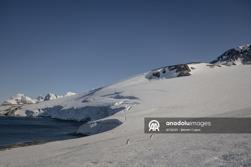 Turkiye's 10th National Antarctic Scientific Expedition has come to an end
