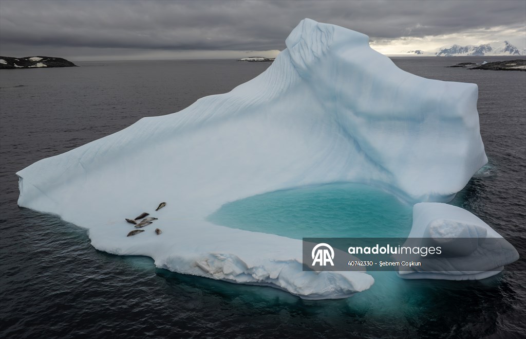 Turkiye's 10th National Antarctic Scientific Expedition has come to an end