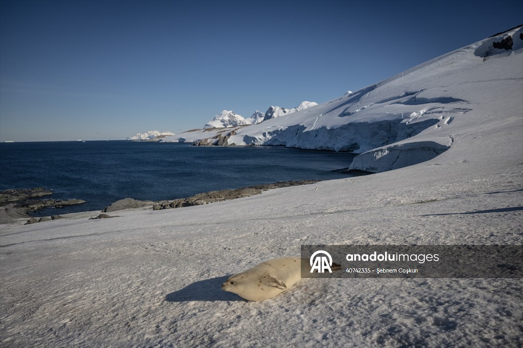 Turkiye's 10th National Antarctic Scientific Expedition has come to an end
