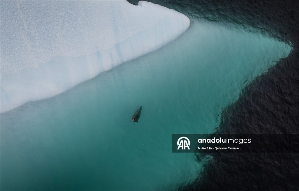 Turkiye's 10th National Antarctic Scientific Expedition has come to an end