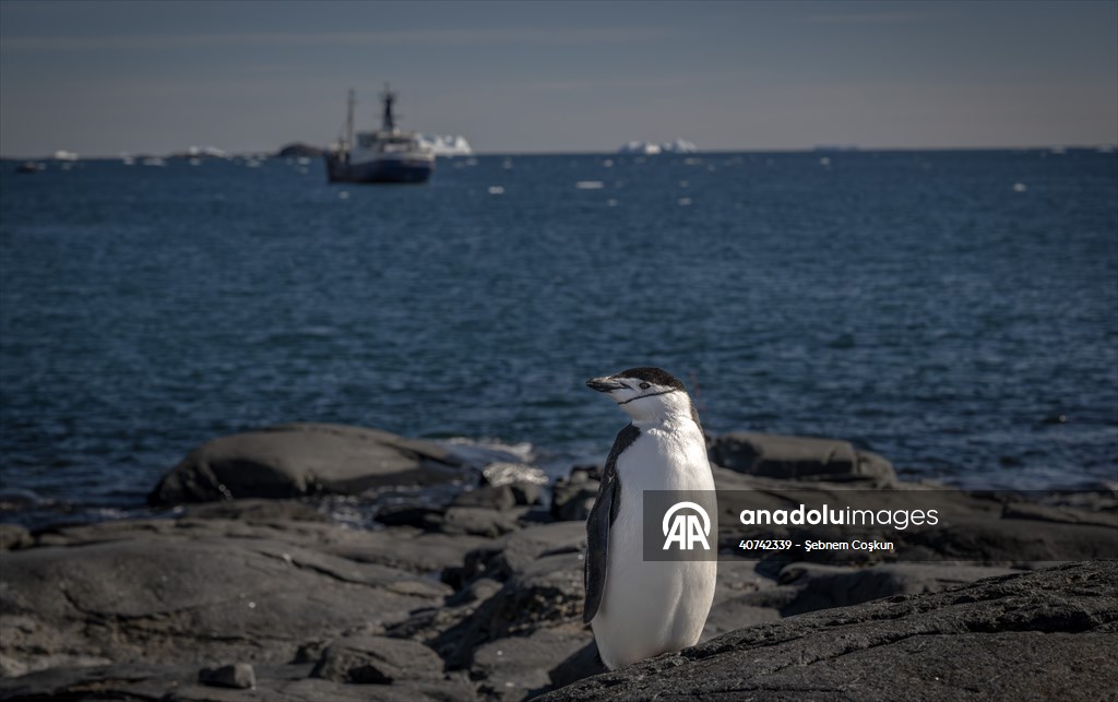 Turkiye's 10th National Antarctic Scientific Expedition has come to an end