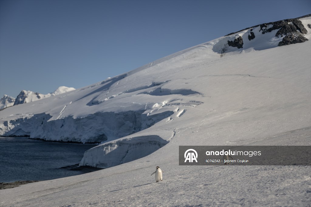 Turkiye's 10th National Antarctic Scientific Expedition has come to an end