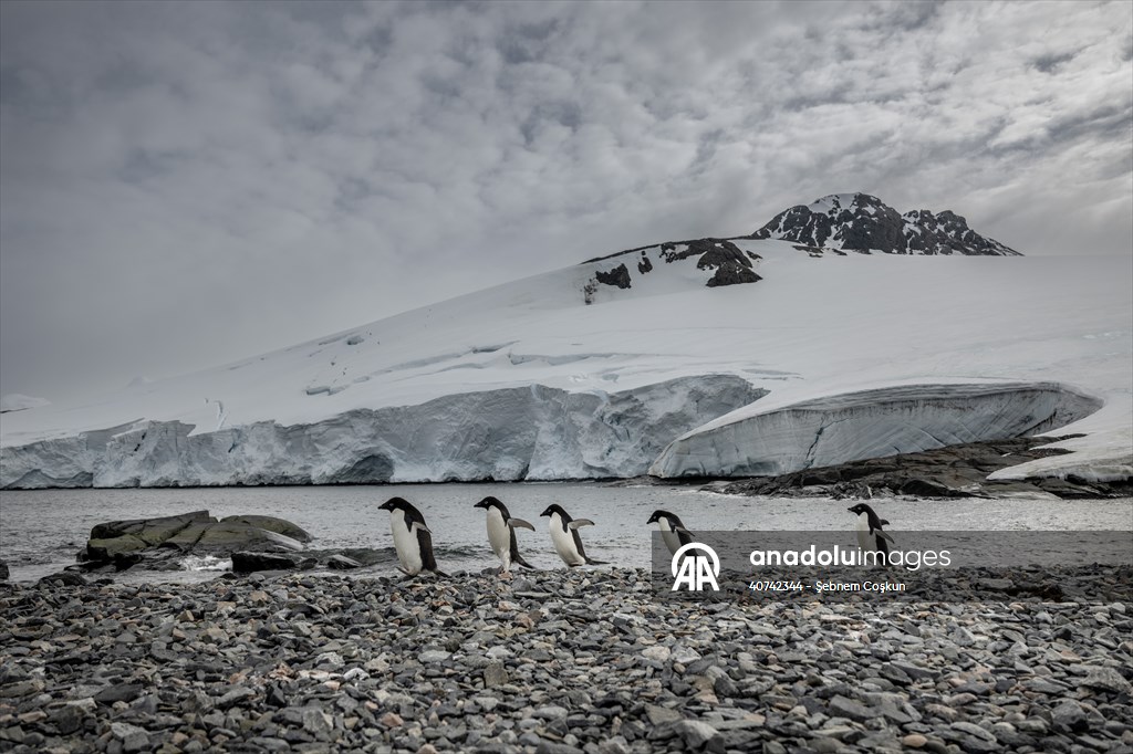 Turkiye's 10th National Antarctic Scientific Expedition has come to an end