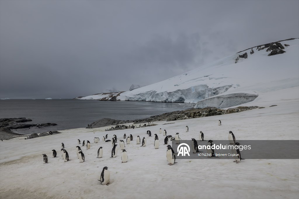 Turkiye's 10th National Antarctic Scientific Expedition has come to an end