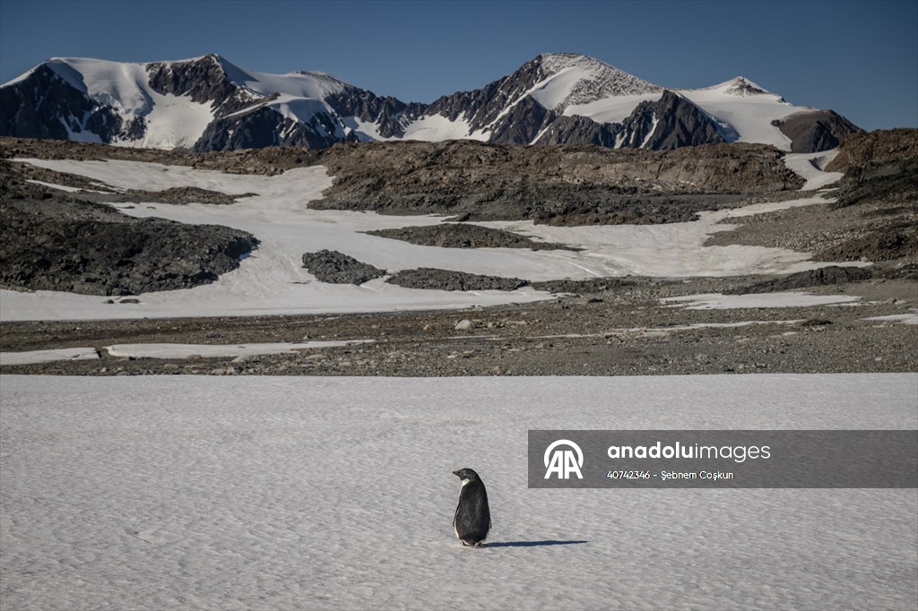 Turkiye's 10th National Antarctic Scientific Expedition has come to an end