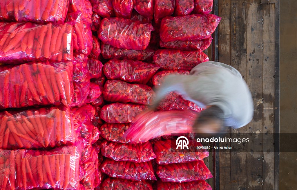 Hatay’da havuç hasadı başladı