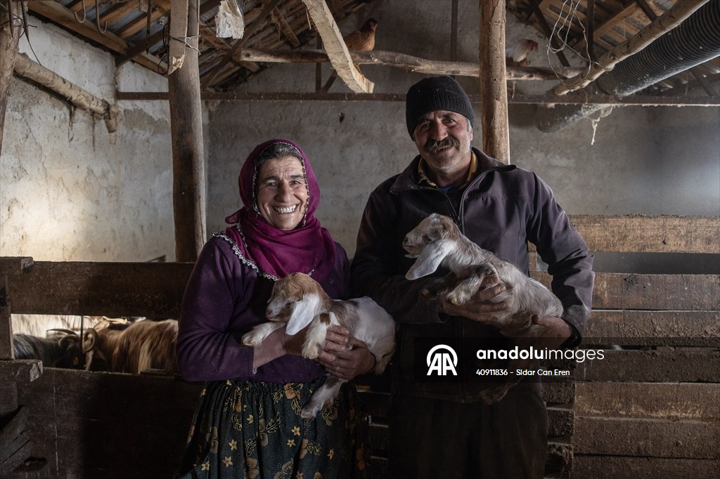 Breeders keep watch as lambing season begins in eastern Turkiye