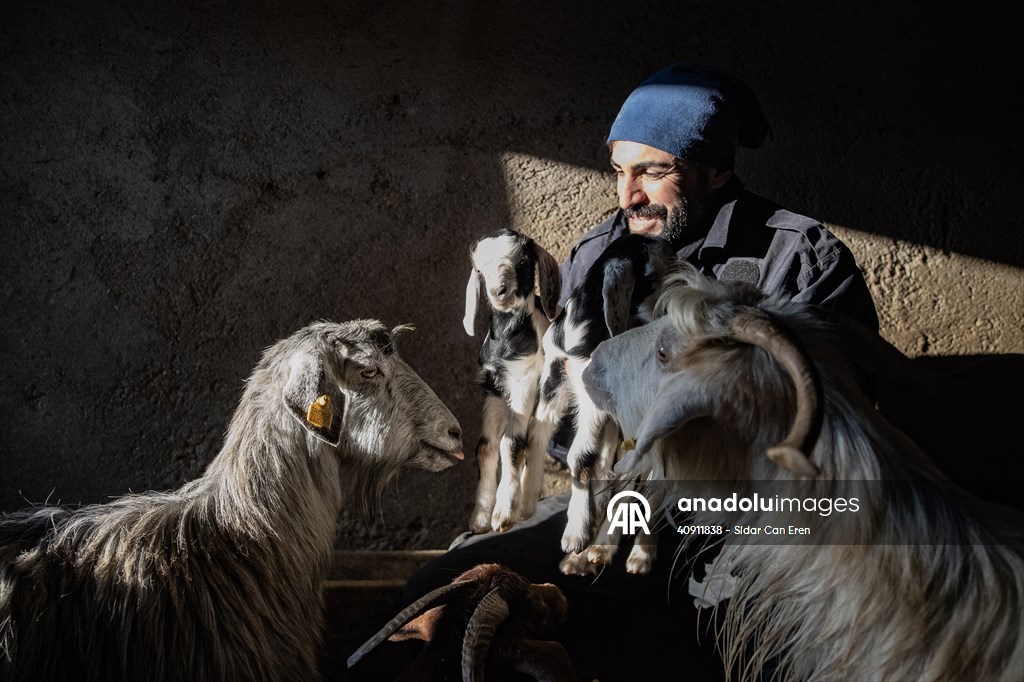 Breeders keep watch as lambing season begins in eastern Turkiye