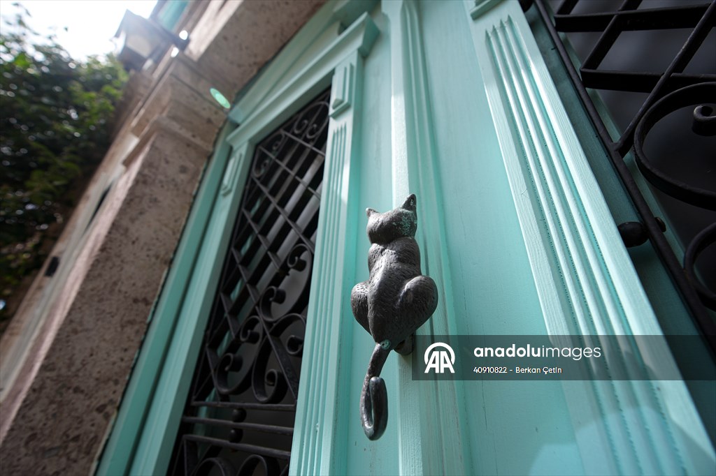 Cunda Adası'ndaki rengarenk kapılar geçmişin izlerini taşıyor