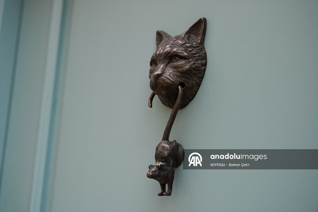 Cunda Adası'ndaki rengarenk kapılar geçmişin izlerini taşıyor