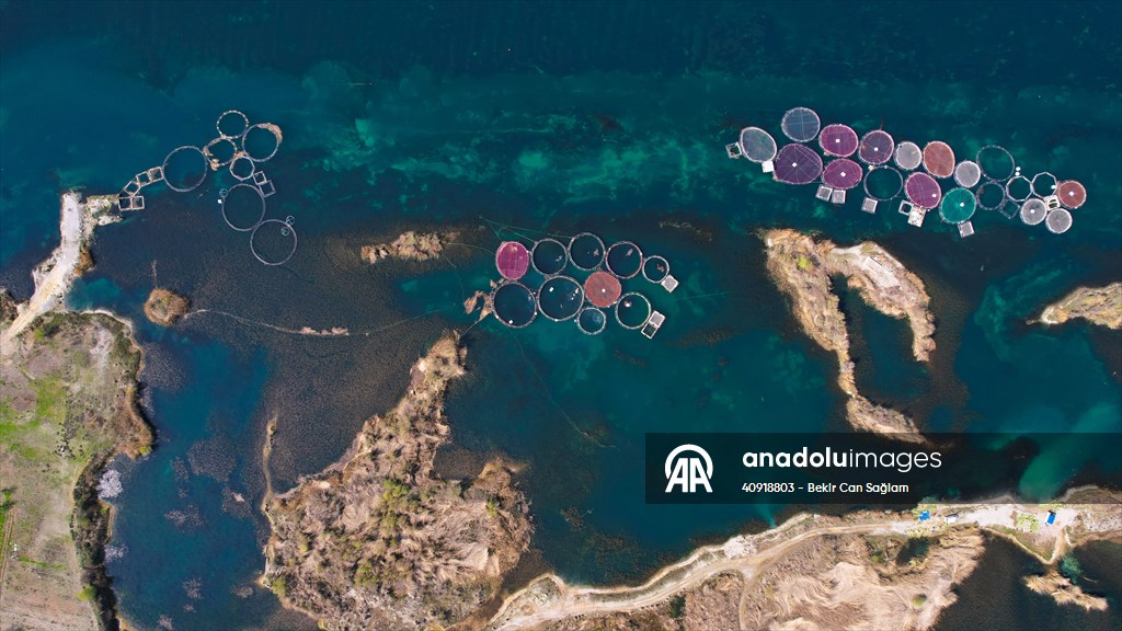 Fırat sularında kafes balıkçılığı