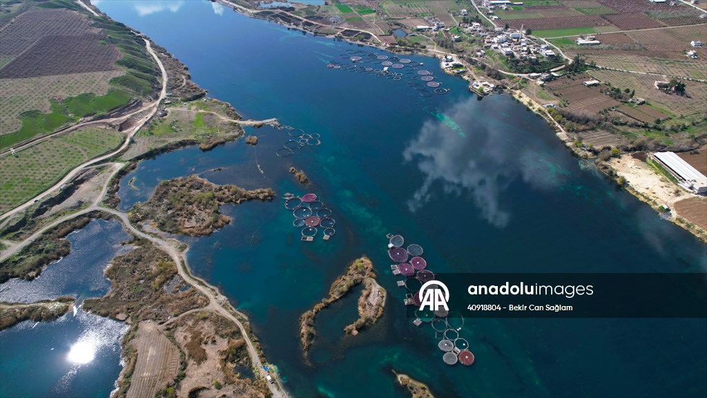 Fırat sularında kafes balıkçılığı