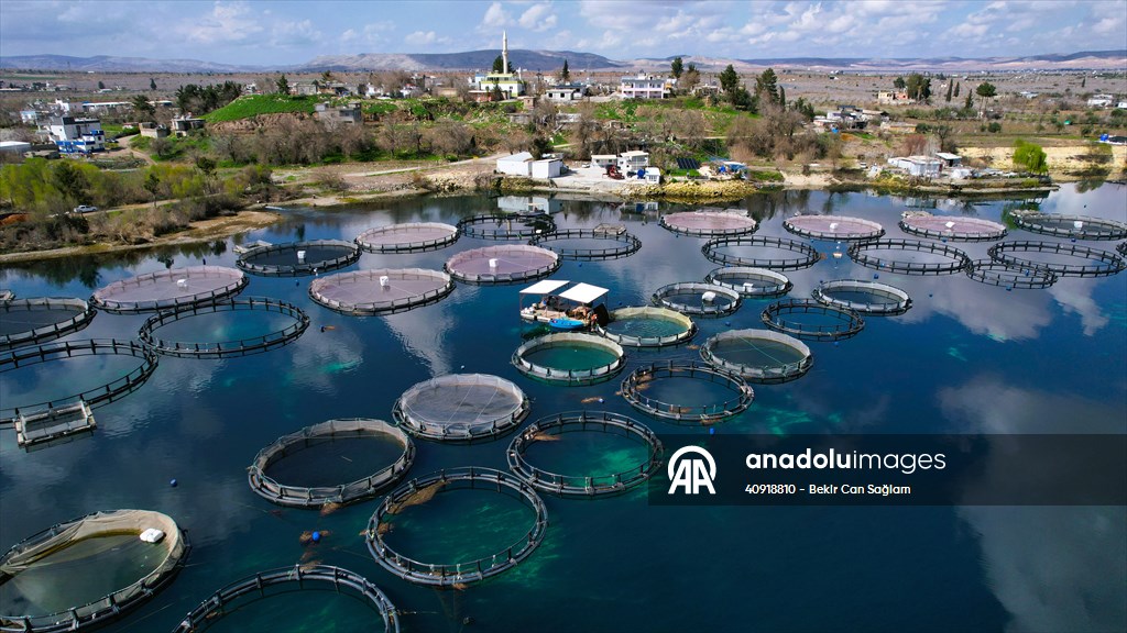 Fırat sularında kafes balıkçılığı