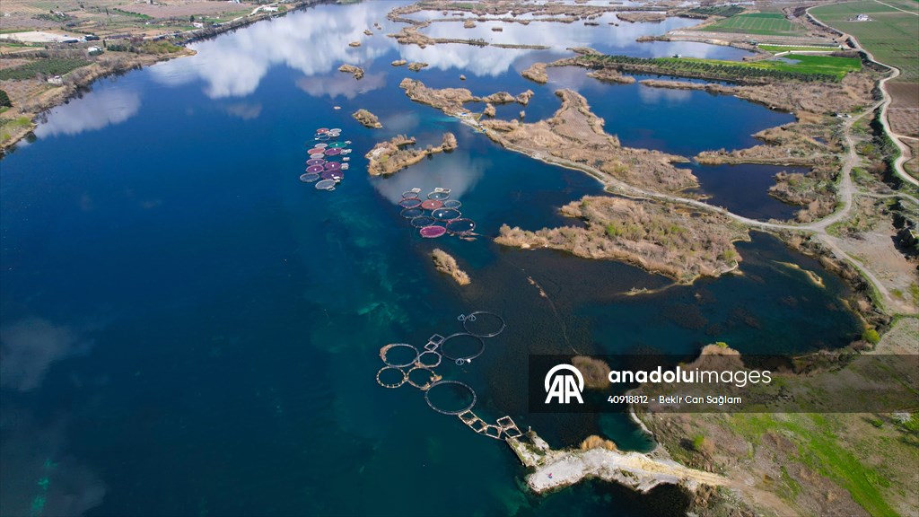 Fırat sularında kafes balıkçılığı