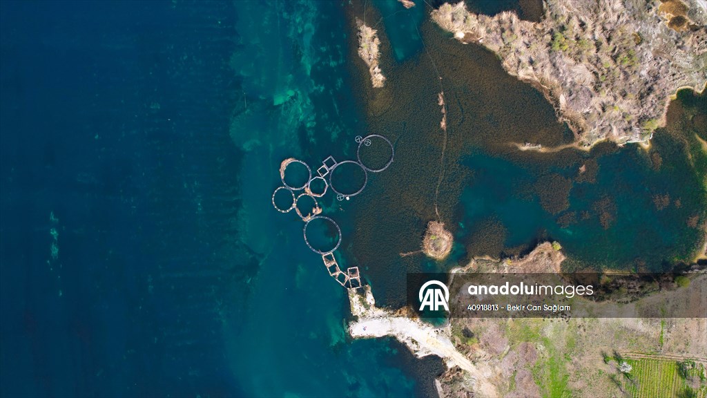 Fırat sularında kafes balıkçılığı