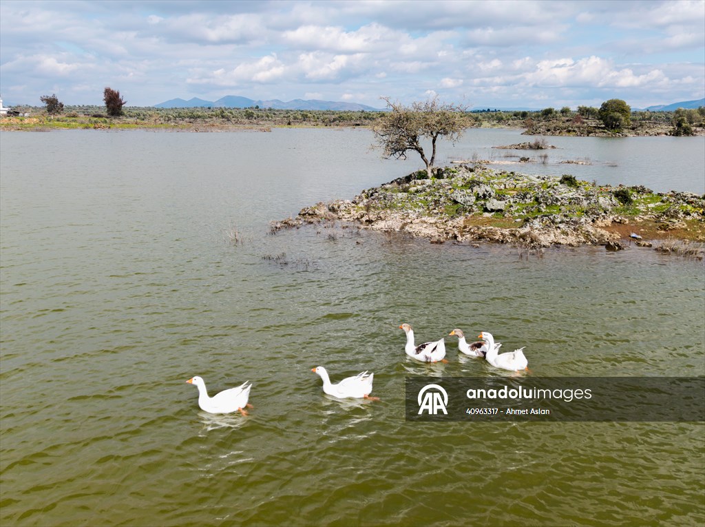 Haydarlar Gölü yağışlarla yeniden canlandı