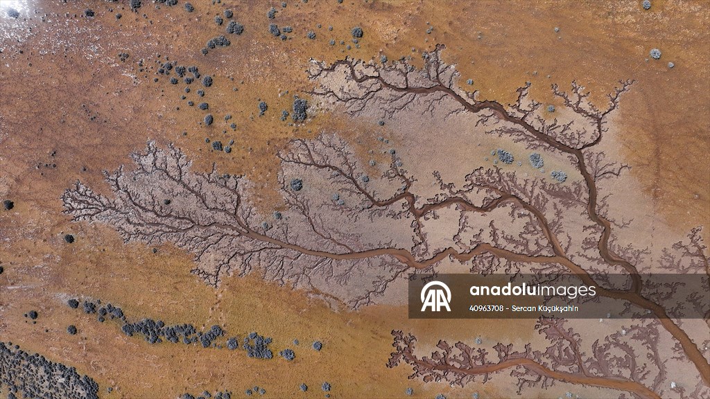 Tuzla Palas Gölü'nü besleyen suların oluşturduğu izler ağaç dallarını andırıyor