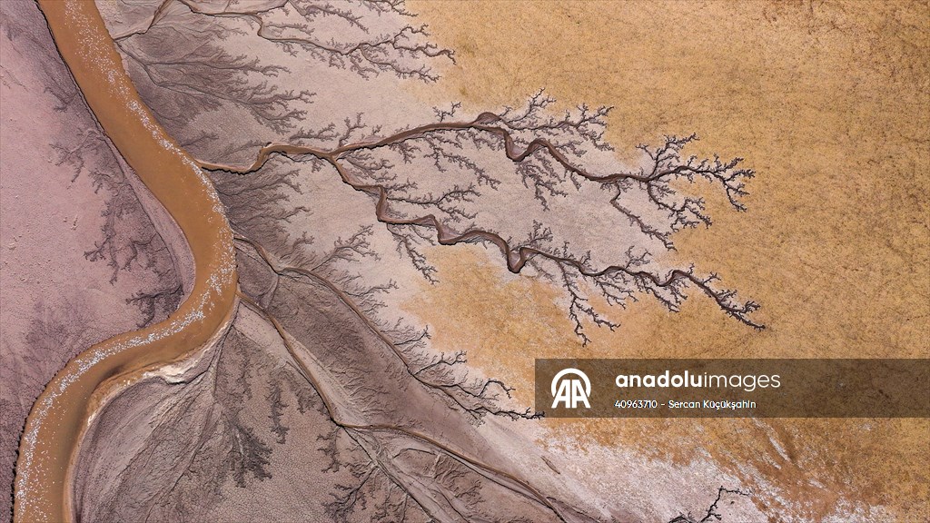 Tuzla Palas Gölü'nü besleyen suların oluşturduğu izler ağaç dallarını andırıyor