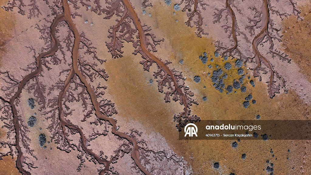 Tuzla Palas Gölü'nü besleyen suların oluşturduğu izler ağaç dallarını andırıyor
