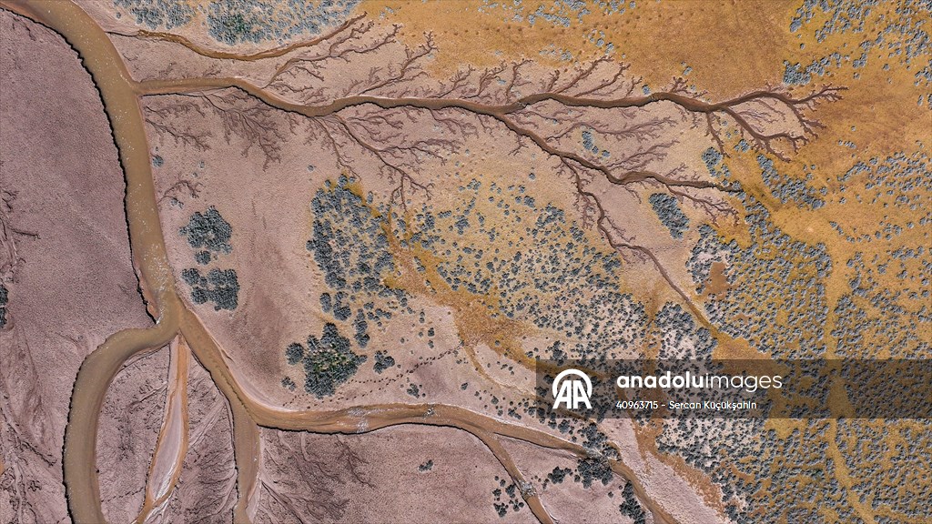 Tuzla Palas Gölü'nü besleyen suların oluşturduğu izler ağaç dallarını andırıyor