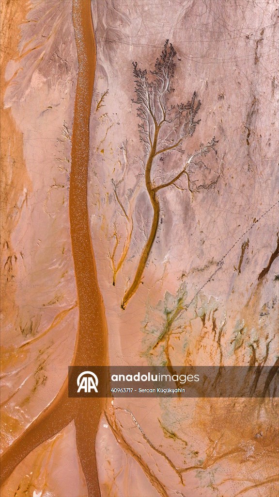 Tuzla Palas Gölü'nü besleyen suların oluşturduğu izler ağaç dallarını andırıyor