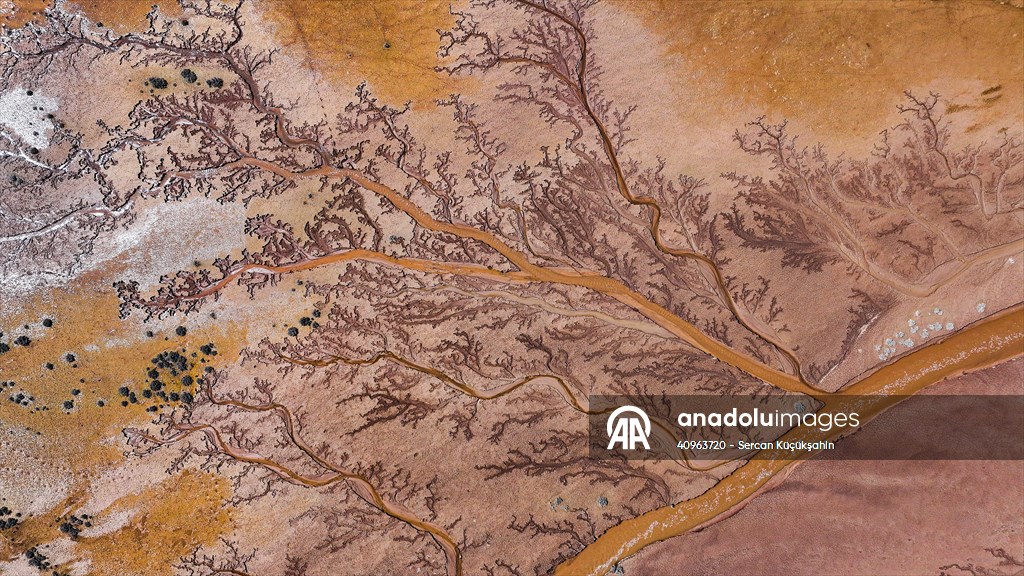 Tuzla Palas Gölü'nü besleyen suların oluşturduğu izler ağaç dallarını andırıyor