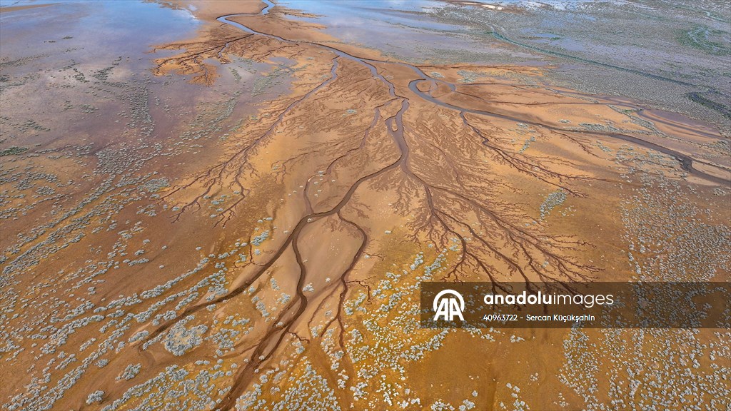 Tuzla Palas Gölü'nü besleyen suların oluşturduğu izler ağaç dallarını andırıyor