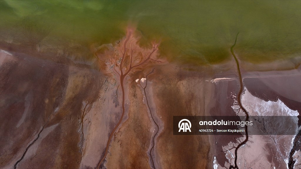 Tuzla Palas Gölü'nü besleyen suların oluşturduğu izler ağaç dallarını andırıyor