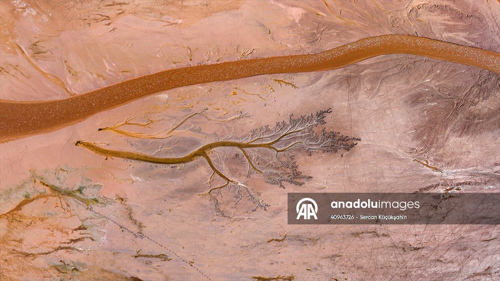 Tuzla Palas Gölü'nü besleyen suların oluşturduğu izler ağaç dallarını andırıyor