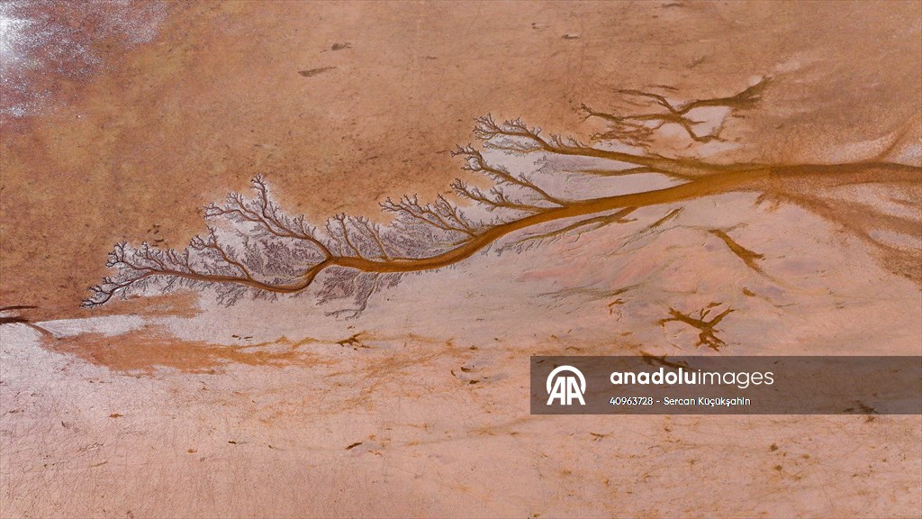 Tuzla Palas Gölü'nü besleyen suların oluşturduğu izler ağaç dallarını andırıyor