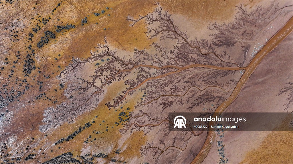 Tuzla Palas Gölü'nü besleyen suların oluşturduğu izler ağaç dallarını andırıyor