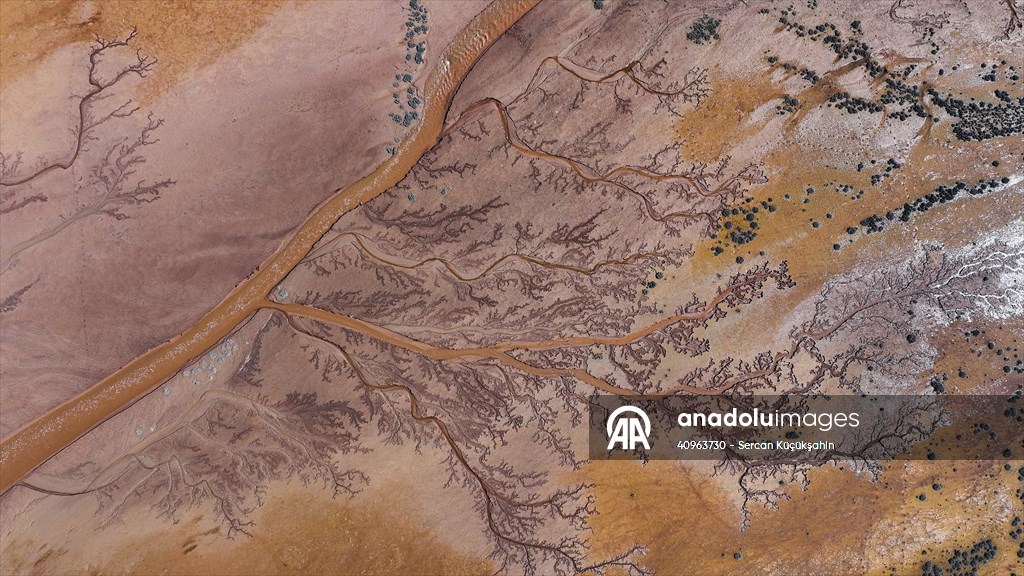 Tuzla Palas Gölü'nü besleyen suların oluşturduğu izler ağaç dallarını andırıyor