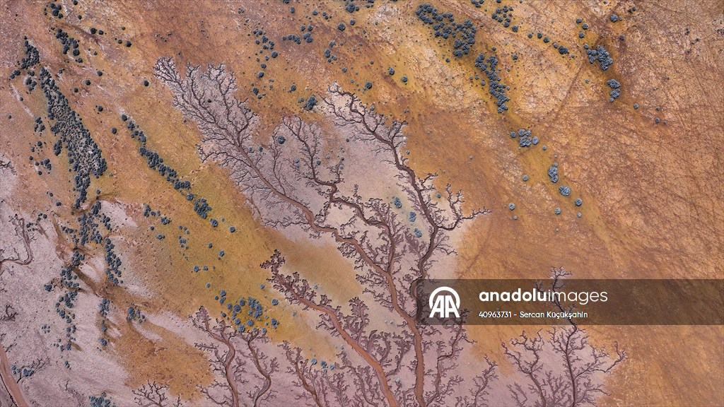 Tuzla Palas Gölü'nü besleyen suların oluşturduğu izler ağaç dallarını andırıyor