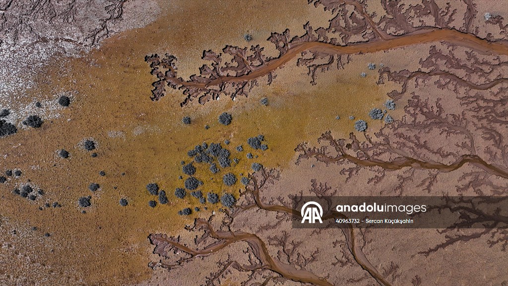 Tuzla Palas Gölü'nü besleyen suların oluşturduğu izler ağaç dallarını andırıyor