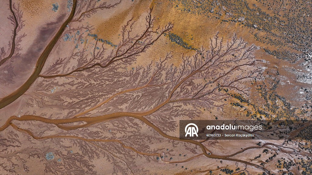 Tuzla Palas Gölü'nü besleyen suların oluşturduğu izler ağaç dallarını andırıyor