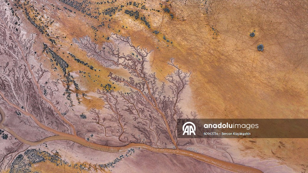 Tuzla Palas Gölü'nü besleyen suların oluşturduğu izler ağaç dallarını andırıyor