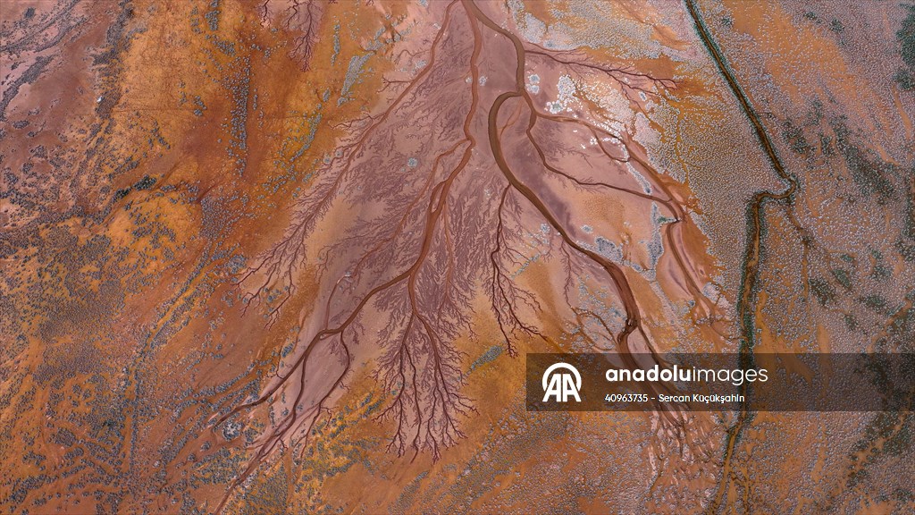 Tuzla Palas Gölü'nü besleyen suların oluşturduğu izler ağaç dallarını andırıyor