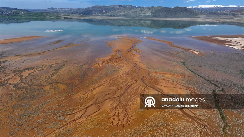 Tuzla Palas Gölü'nü besleyen suların oluşturduğu izler ağaç dallarını andırıyor