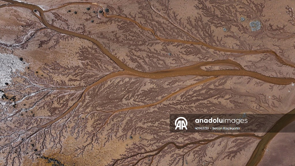 Tuzla Palas Gölü'nü besleyen suların oluşturduğu izler ağaç dallarını andırıyor