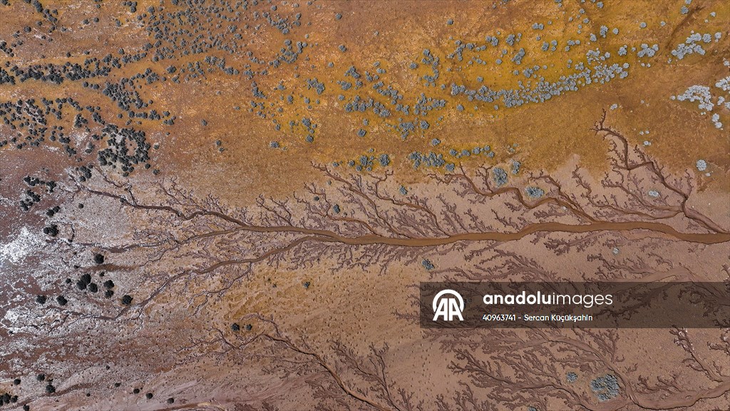 Tuzla Palas Gölü'nü besleyen suların oluşturduğu izler ağaç dallarını andırıyor