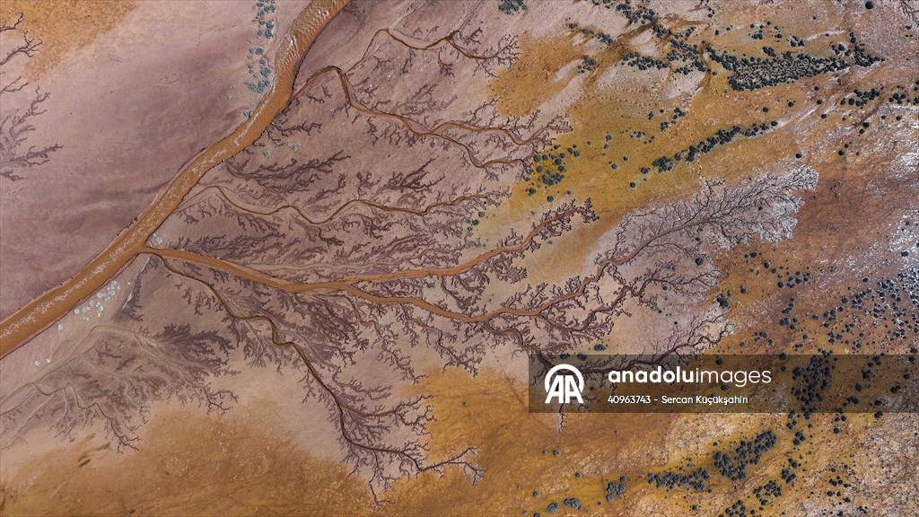 Tuzla Palas Gölü'nü besleyen suların oluşturduğu izler ağaç dallarını andırıyor