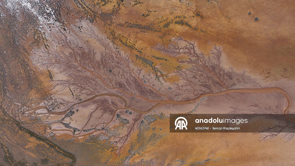 Tuzla Palas Gölü'nü besleyen suların oluşturduğu izler ağaç dallarını andırıyor