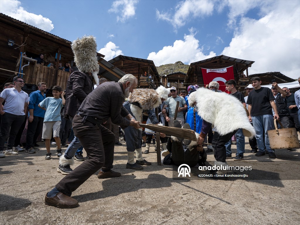Artvin'de asırlık gelenek 'Berobana' Şavşat'ta yaşatılıyor
