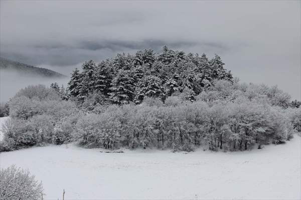 Abant tabiat parkı karlar altında